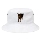 キリちゃんつくるぞのびっくりキリちゃん Bucket Hat