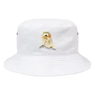 文様動物園 Pattern Zoo Museum shopの亀甲 × エチオピアオオタケネズミ Bucket Hat