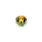 roigillesのkooikerhondje real face 1 Tin Badge