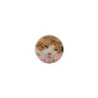 りなしの猫写真花粉症タイプA Tin Badge