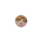 りなしの猫写真花粉症タイプB Tin Badge