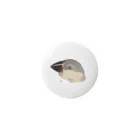 calcalの幼少期の桜文鳥 Tin Badge