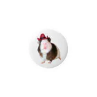 popcorn_jumpのカウボーイ　モルモット Tin Badge