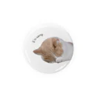 Twelve CatsのI'm sorry... Tin Badge