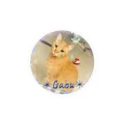 猫しゃちょうのひめぶ～さん家のがぶちゃんin北海道 Tin Badge