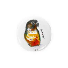 富士fuji【鳥のいる生活】のウロコインコ　ヒカリ Tin Badge