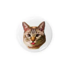 ねこねこねこの僕の名前はふくちゃん Tin Badge