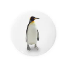 下田村のキングペンギン Tin Badge