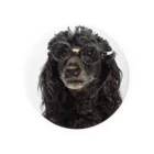 【CPPAS】Custom Pet Portrait Art Studioの黒縁メガネのスマートなスタンダードプードルドッグ 缶バッジ