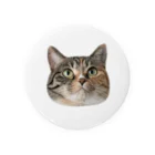 みそちゃんの雑貨屋さんの縞三毛猫のみそ Tin Badge