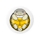 すっぽんのホオアカドロガメ Tin Badge