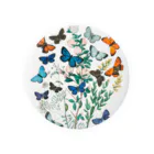 museumのbutterfly Tin Badge