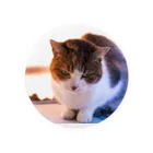 Takuya-craftの眼つきの悪い猫 Tin Badge