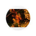 nokkccaのライトアップ紅葉 - Japanese maple(night shot) - Tin Badge