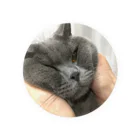 恥部ちゃんのおにぎり猫 Tin Badge