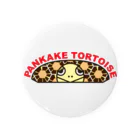 STAR TORTOISEのパンケーキリクガメ　カラー 缶バッジ