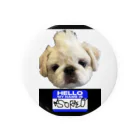 【GOD&DOG】のhello!my nane is SORAZO. 缶バッジ