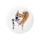 SHIBAOOOOOの柴生です 缶バッジ