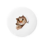 ただの猫好きのWhite Free Cute Funny Cat T-shirt Tin Badge