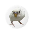 みぽりんショップのアルビノセキセイインコハクちゃん Tin Badge