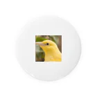 Happy Bird の黄色い鳥の横顔 缶バッジ