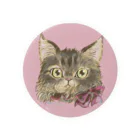 猫のきぬくんのお店のアップなエマちゃん Tin Badge