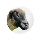 Rnoleleso_Photoの羊くん Tin Badge