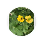 kujiradonirukadonのなんかの花とハチ Tin Badge