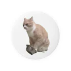 猫ミームグッズの【猫ミーム】餌を催促する猫 Tin Badge