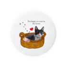 ラブリーピンクのカゴに入ったhappy子猫 Tin Badge