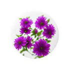 おけらのお庭で輝く美しい花々を、AIがさらに魅力的に加工✨ Tin Badge