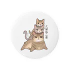 久留ねこ屋のる～り～な～ Tin Badge