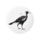 ９番目のMAGPIE Tin Badge