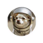 mesogiaの宇宙犬　ちわわん Tin Badge