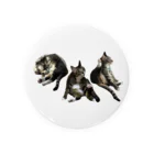 sisyの家ねこ悩殺3ポーズ Tin Badge