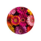 オンラインショップイエローリーフの色鮮やかな綺麗な花 Tin Badge