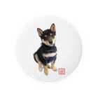 うたた寝の🐾豆柴BOY🐾 世界中で愛される柴犬 Tin Badge