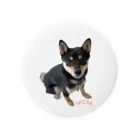 うたた寝の🐾豆柴BOY🐾 世界中で愛される柴犬　1歳 Tin Badge