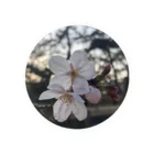 skr__sakuraの桜 缶バッジ