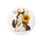 #保護猫カフェひだまり号のひだまり＆ぽんず Tin Badge