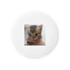 suirennohana2の子猫 Tin Badge