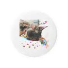 ❊ おぶ(⑉་ ⍸ ་⑉) のおみせ ❊の保護猫チャリティ🐾 Tin Badge
