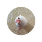 Lily bird（リリーバード）の小首を傾げる白文鳥さん Tin Badge