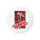 石田 汲のSTEPDOG GODPETS 缶バッジ