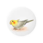 まめるりはことりのオカメインコ　レキ【まめるりはことり】 Tin Badge