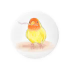 まめるりはことりのコザクラインコ　レイ【まめるりはことり】 Tin Badge