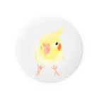 まめるりはことりのオカメインコ　おすましルチノー【まめるりはことり】 Tin Badge