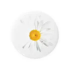 lenhung2108のdaisy flower 缶バッジ