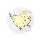 まめるりはことりの可愛いセキセイインコ　おすましちゃん【まめるりはことり】 Tin Badge