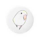 まめるりはことりのコザクラインコ　バイオレットパイドちゃん【まめるりはことり】 Tin Badge